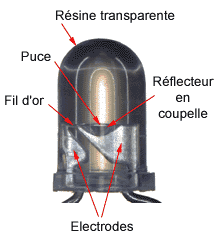 Cliquer pour agrandir / Click to enlarge